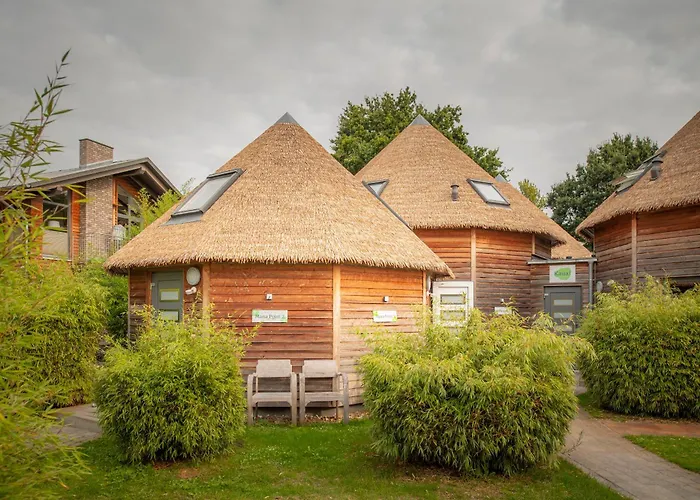 Typ C1 Mini Lodge - Mana Point 2