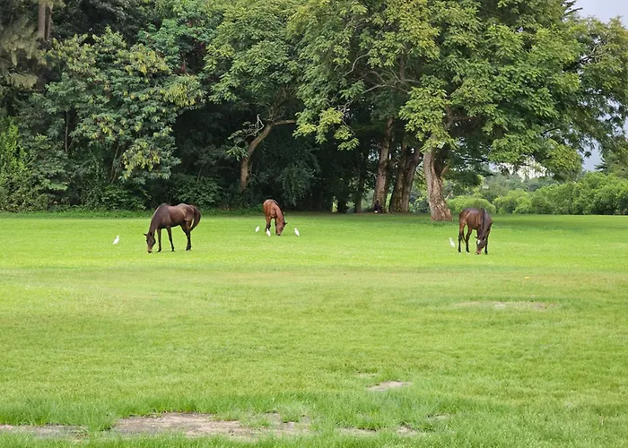 Burundi Palace Boutique Hotel