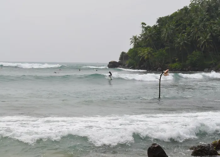 Green View Weligama