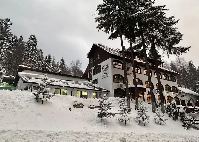 Cerbul Chalet Accommodation & Wellness
