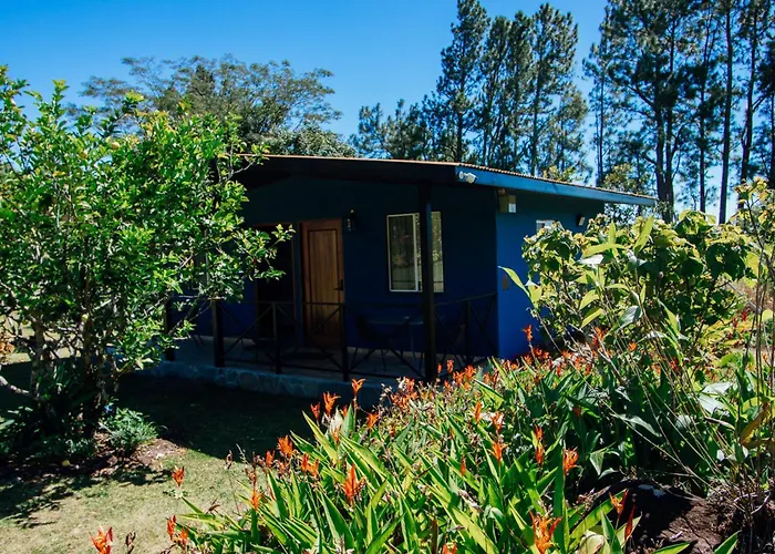 Hotel Boutique Los Abetos