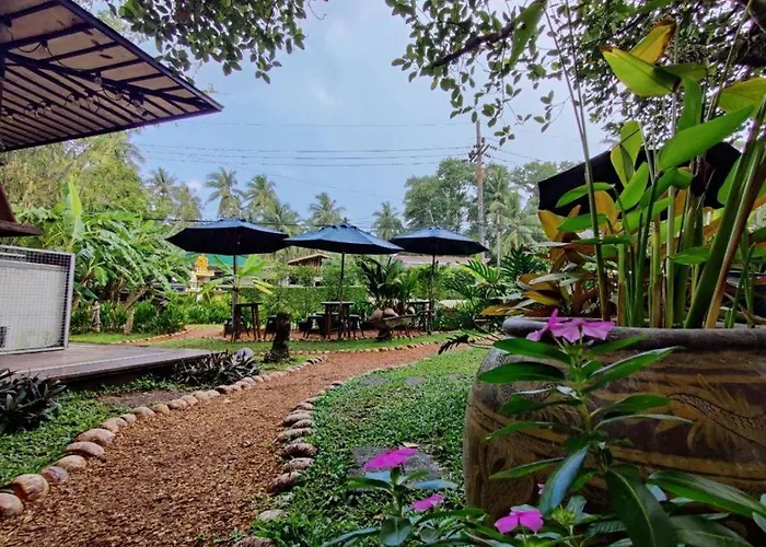 The Willow Phangan