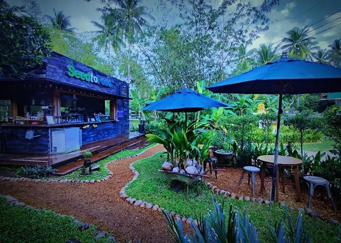 The Willow Phangan