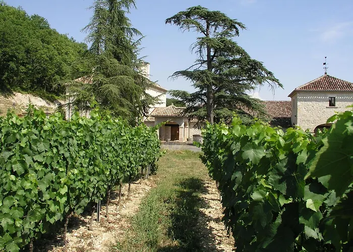 Chateau Lecusse - La Grande Roche - Hotel, Spa, Boutique & Restaurant