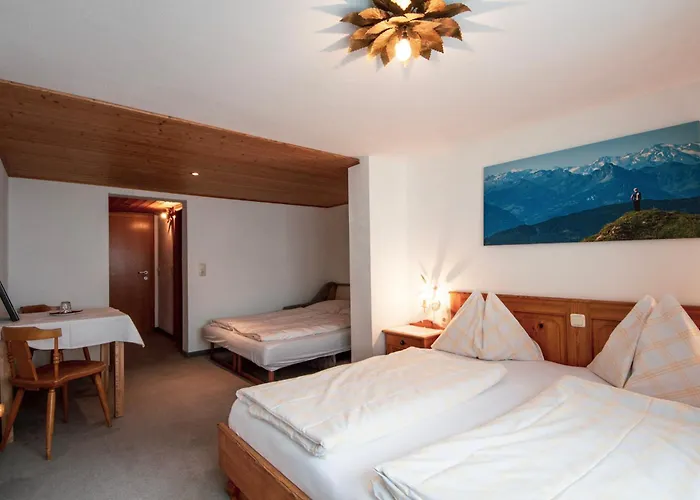 Alpengasthof-Hotel Kopphuette
