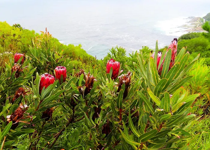 Misty Mountain Reserve