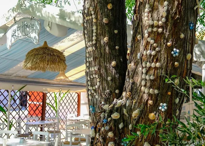Cocoon Hotel-Beach Bar