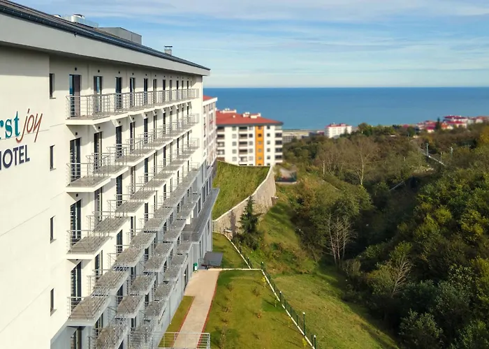 First Joy Hotel