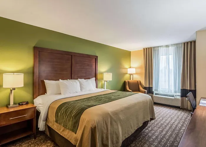 Comfort Inn & Suites Panama City North
