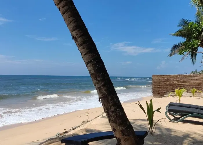 Haus Am Meer "Wilde Ananas"