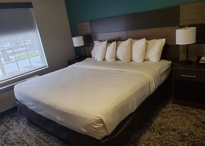 Best Western Fort Wayne Inn & Suites North
