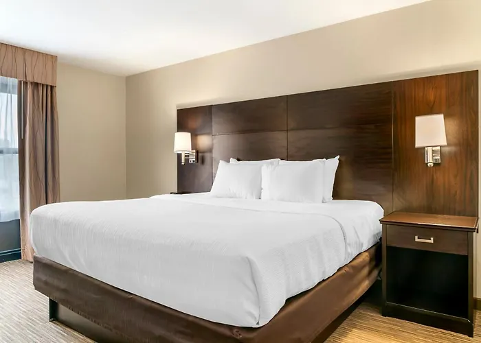 Quality Inn & Suites Monroe