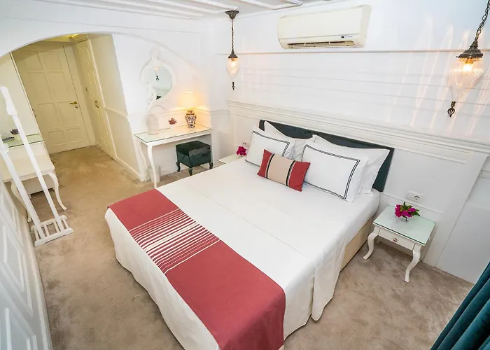 Siyah Lale Cunda 1841 (Adults Only)