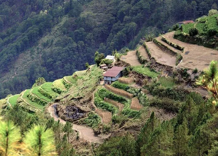 Sagada Younganaut Lodge