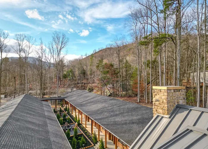 The Timber At Holly Branch