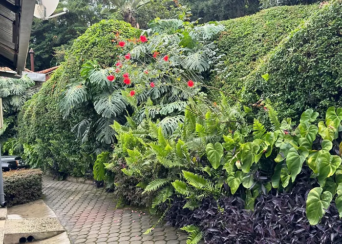 Palm Garden Resort