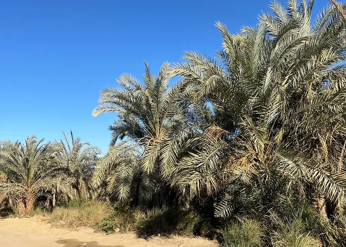 Safari Camp Bahariya Oasis
