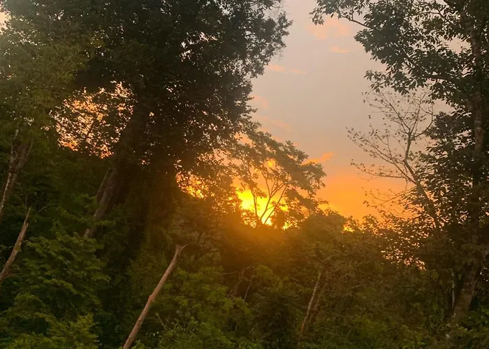 Ceiba Lodge