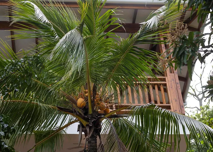 Sunbird Villas