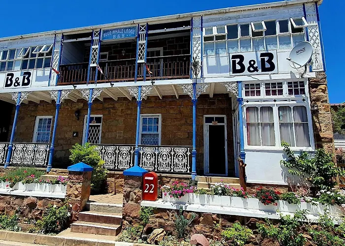 Blue Whale Lodge