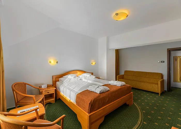 Hotel Casa Viorel jacuzzi&saunas