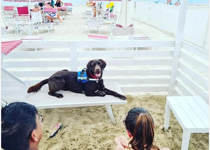 Lidodubaihotelb&B
