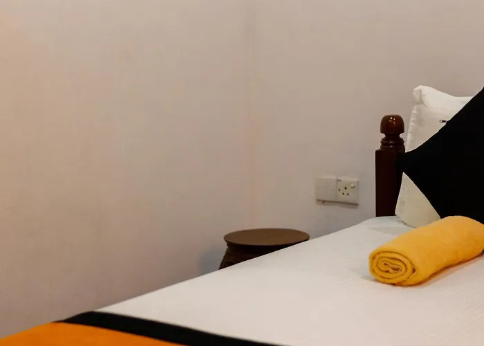 Xotic Resort
