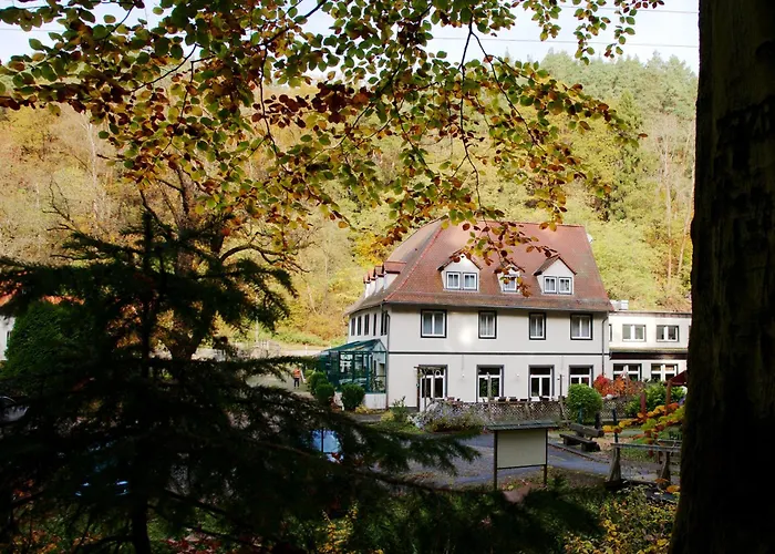 Waldhotel Linzmuehle