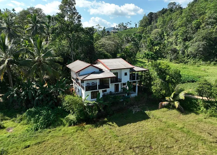 Wildlife Kingdom - Deniyaya Sinharaja