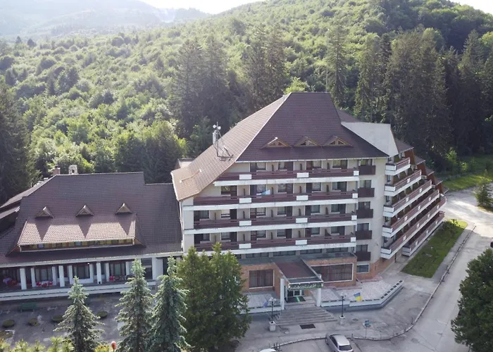 Hotel Bradul - Covasna