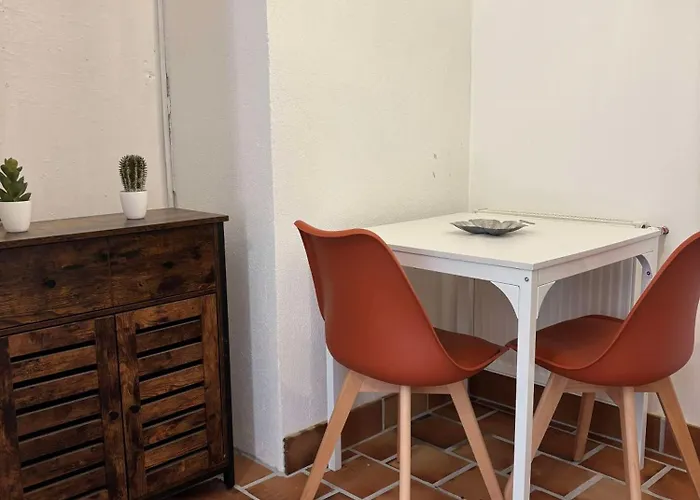 Gite - Douceur Du Sud, Entre Mer Et Campagne Hyères