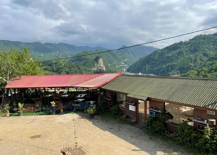 Ayvadere 102 Karadeniz Kus Cenneti Dag Manzarali