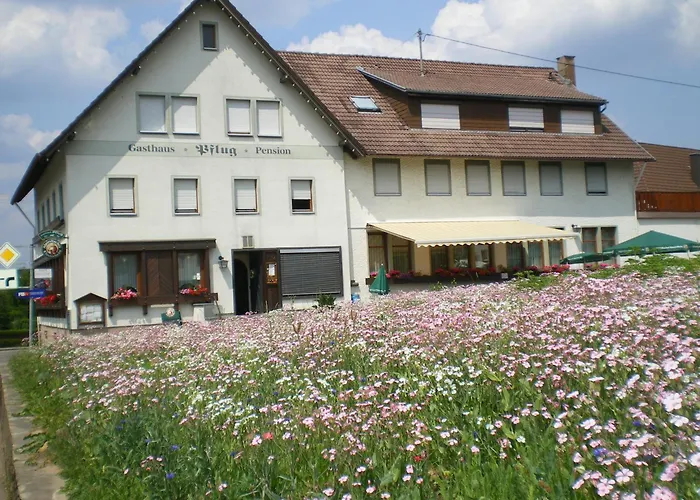 Gasthaus Pflug