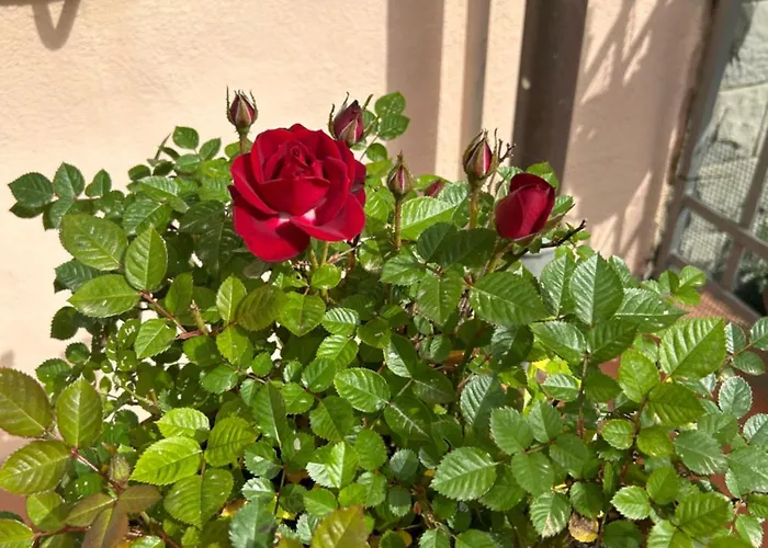 Relais Stella