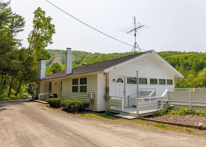 The Cozy Cat Motel At Catamount