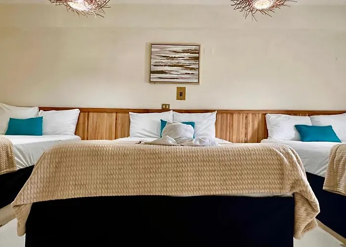 Hotel cacao spa cozumel