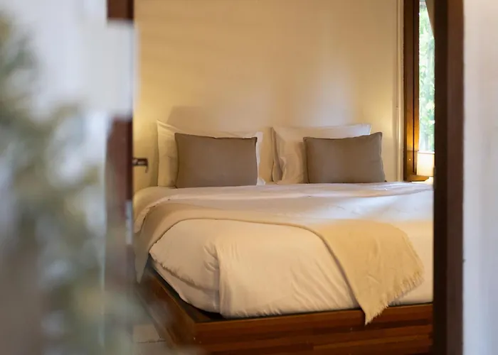 Big Tree Boutique Hotel