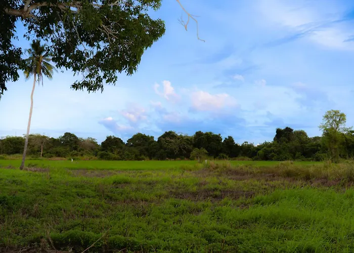 Tribe Wilpattu - Eco Lodge