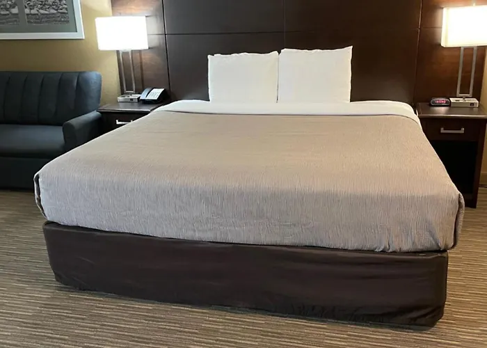 Quality Inn & Suites Seabrook- Nasa- Kemah