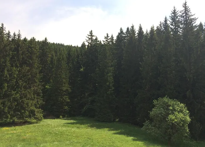Appartements Gasthof Kanzlersgrund Oberhof 