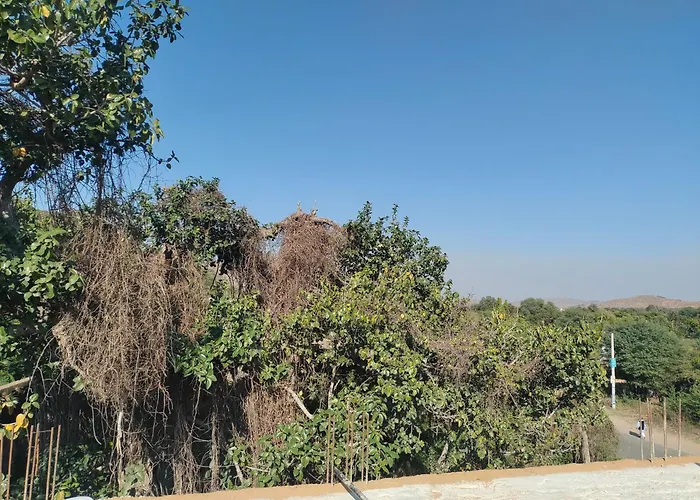 Aravalli Mount View Hotel And Restaurant