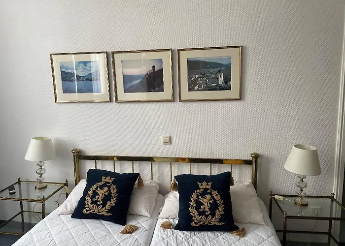 Hotel Zum Goldenen Loewen - Restaurant - Panoramabar - Terrassen - Events - Rheinblick - Geschichte Seit 1728