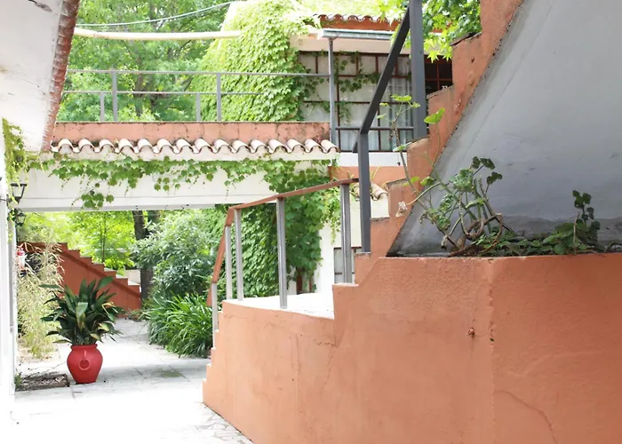 Hotel La Ballena