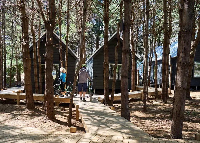 Black Forest Cabins
