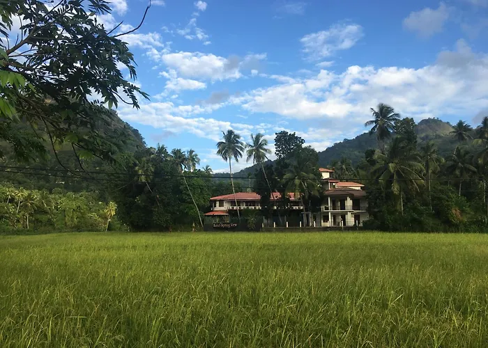 Hotel Spring View