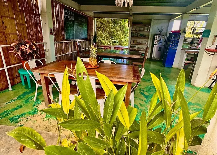 Hotel Renasci Palomino