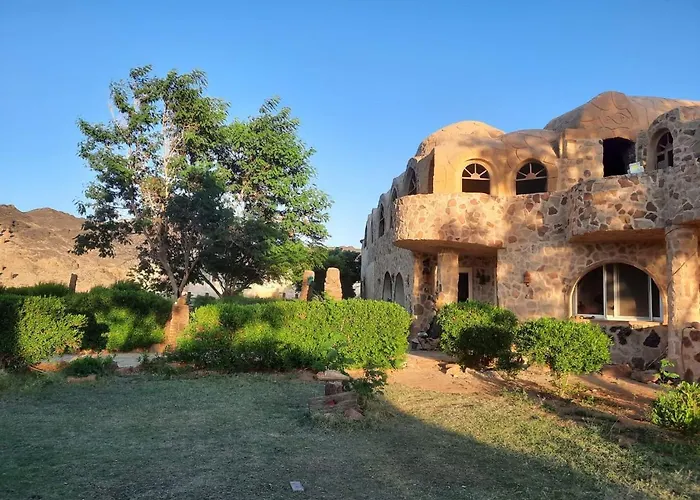 Oasis Panorama