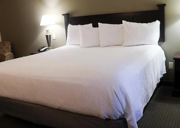 Wingate By Wyndham Peoria - Complimentary Area Shuttle