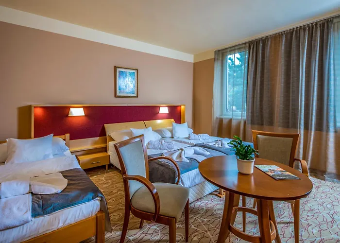 Drava Hotel Thermal Resort