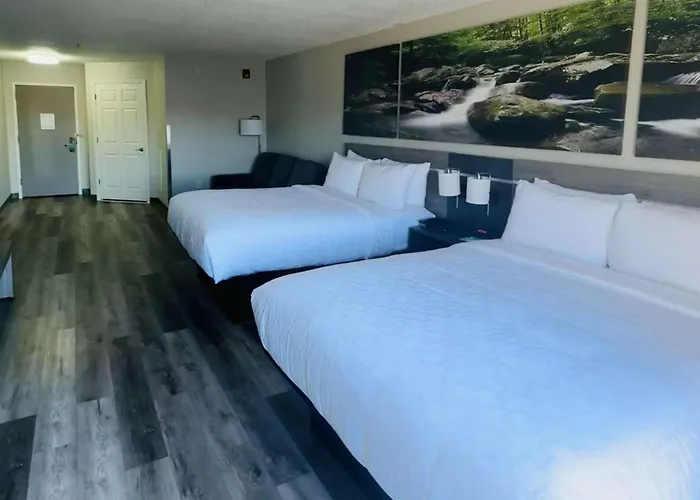 Clarion Pointe Albemarle